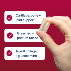 Cartilage Collagen – Capsules – 120 Capsules